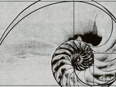 A nautilus with the Golden Ratio illustration overlaid on it