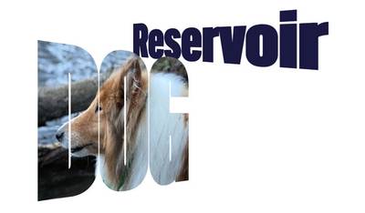 Skewed and masked text