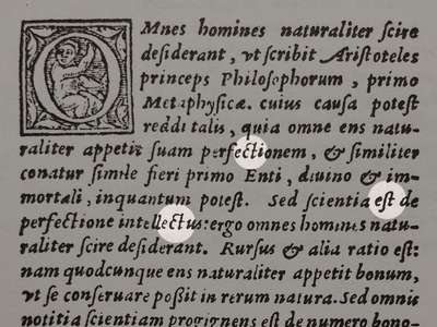 Image of a manuscript with several ligatures highlighted