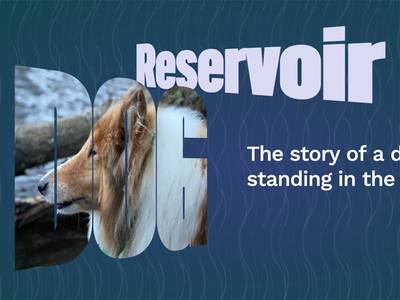 Skewed image and text masking