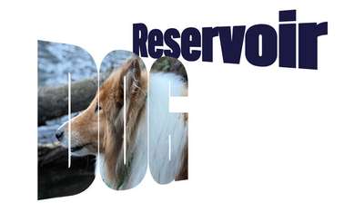 Skewed and masked text